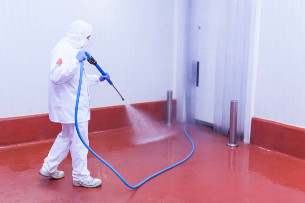 Best Rust Removal  in Yonkers, NY